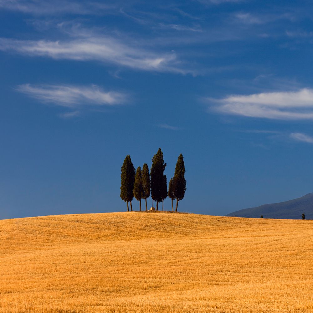 ...и золото на голубом...