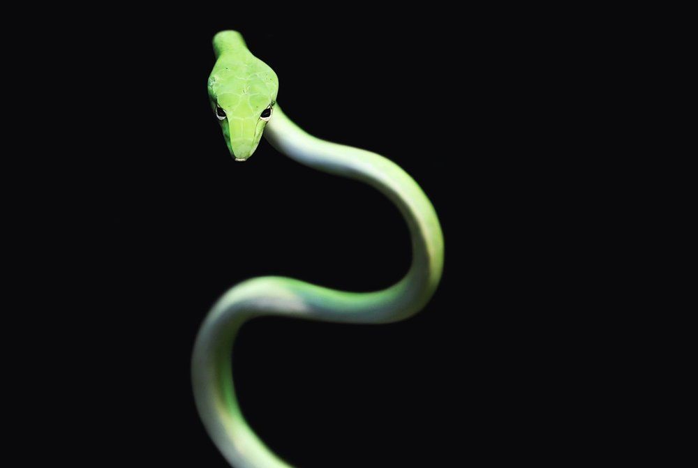 Зловещий взгляд