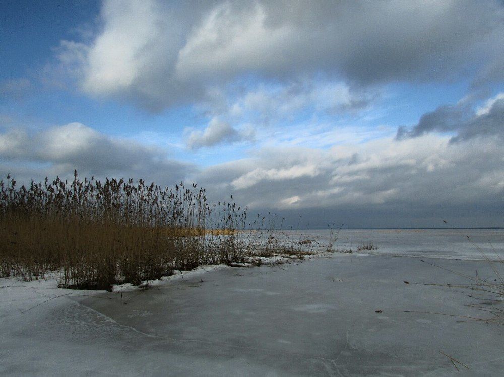 Зима на заливе