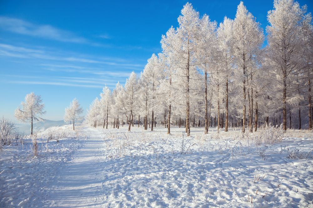 Чудесный морозный день