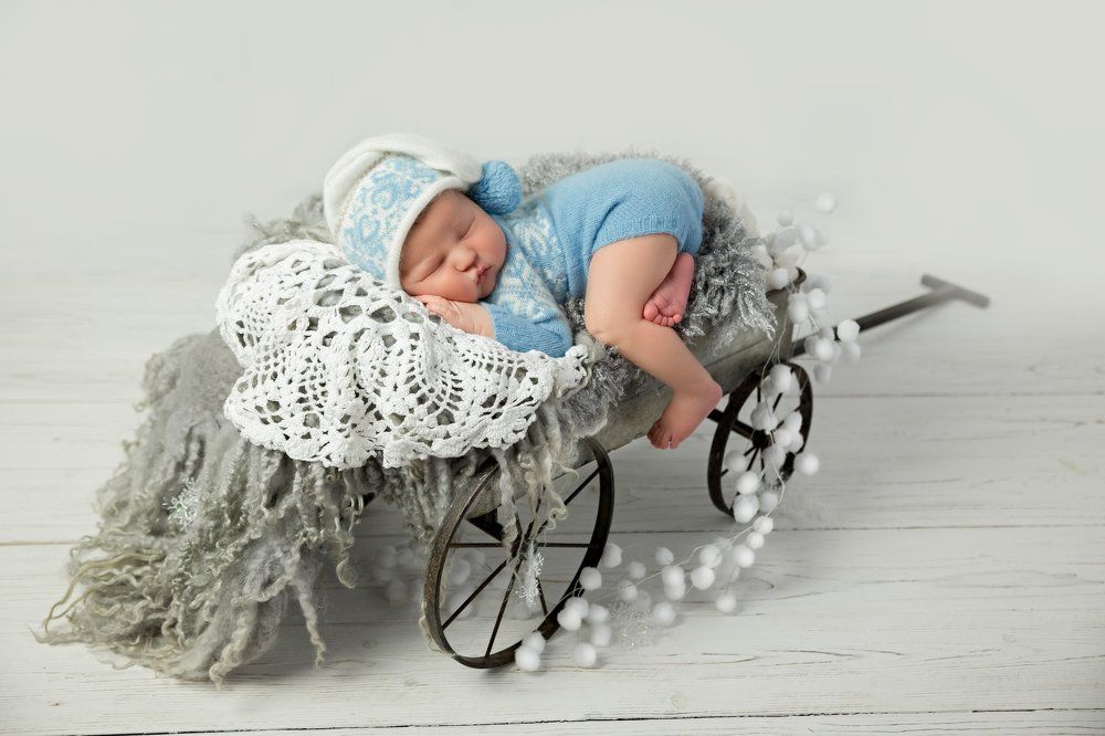 Снежная повозка