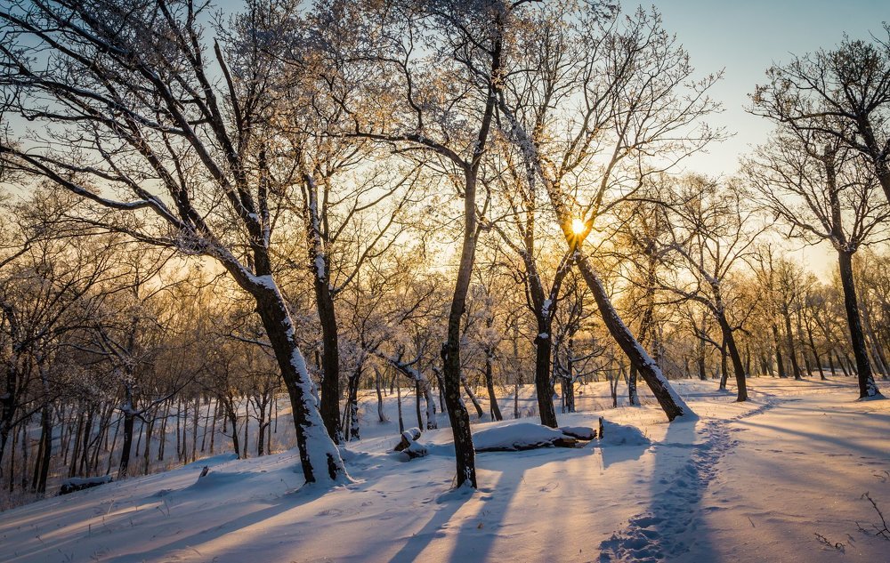 В городском парке