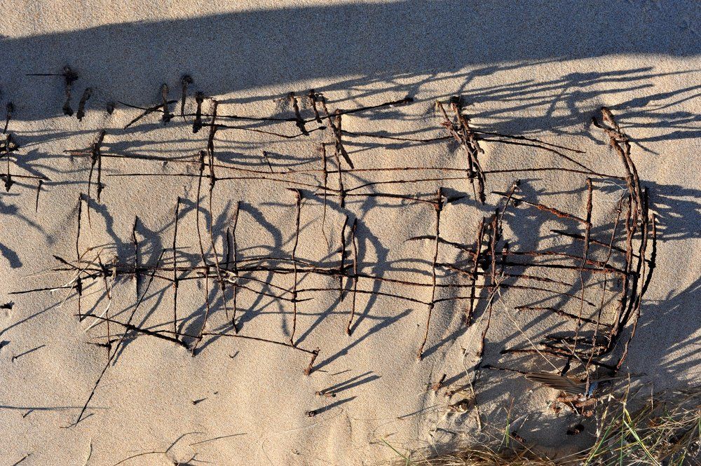 Photograph by игорь