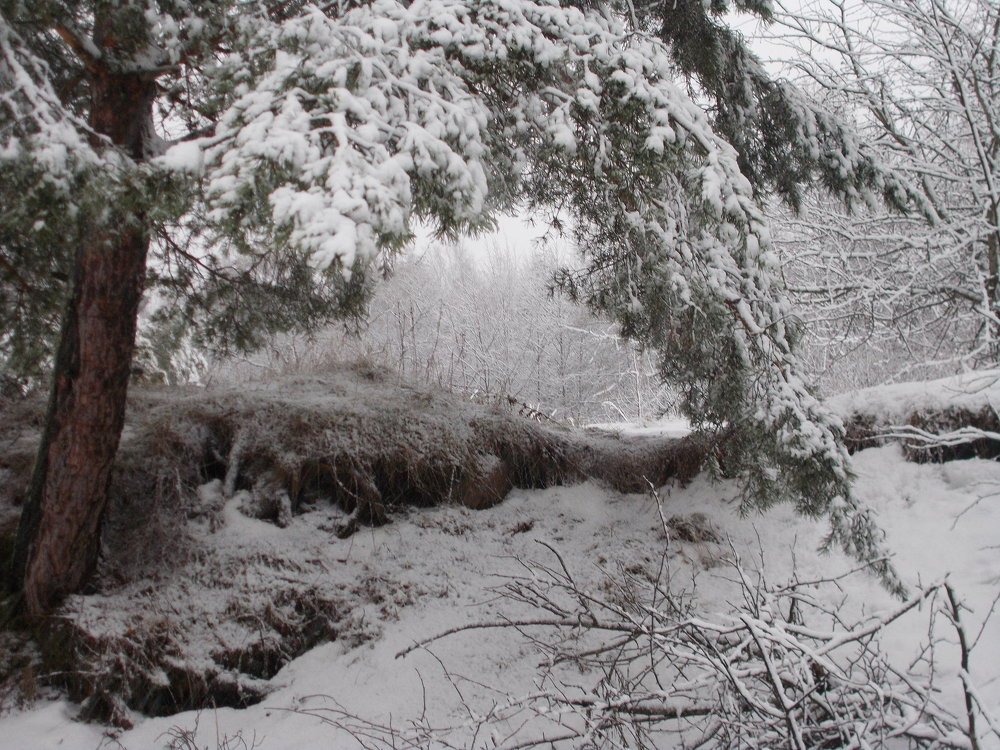 ... Хорошо!...