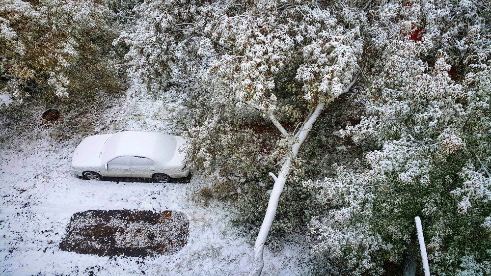 Раний, первый снег!