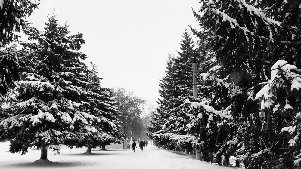 Зима, снега.