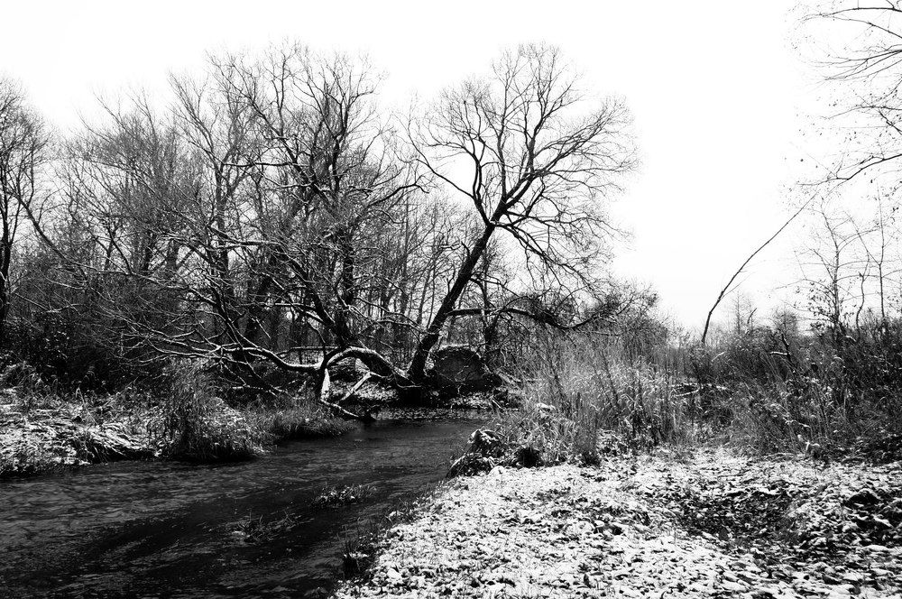 Река Ширенка