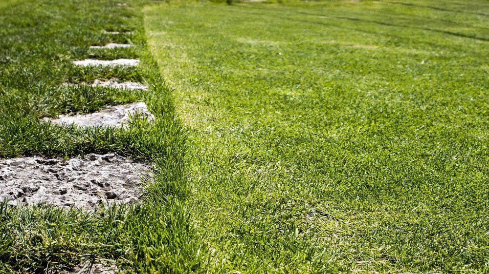 Photograph by Евгений