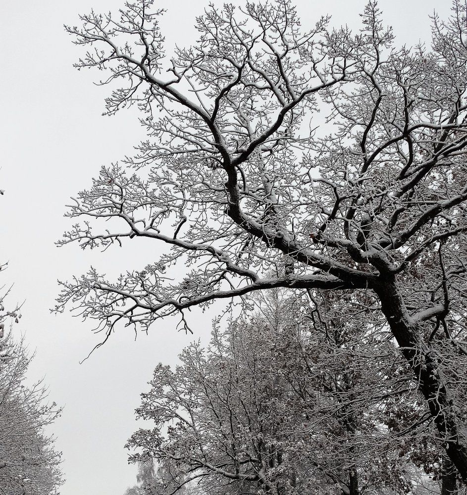 хорошее начало