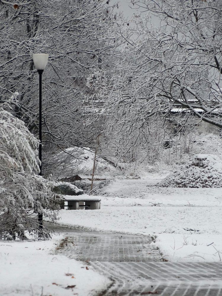 чёрно-белый день