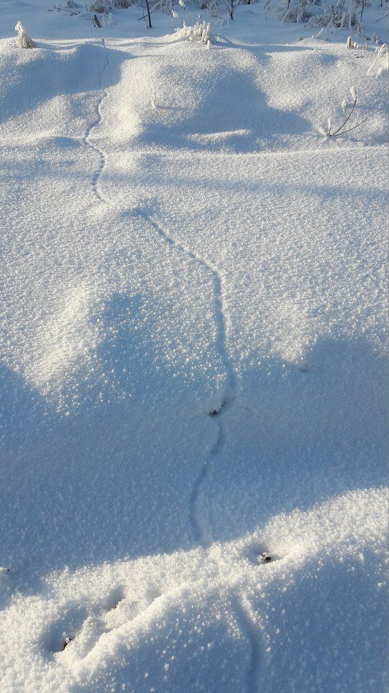 длинная дорога "маленькой жизни"