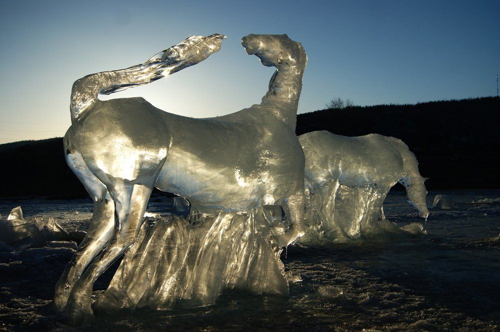 Ледовые кони из табуна Байкальсих ветров
