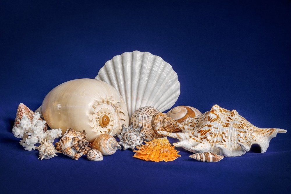 Морской бриз