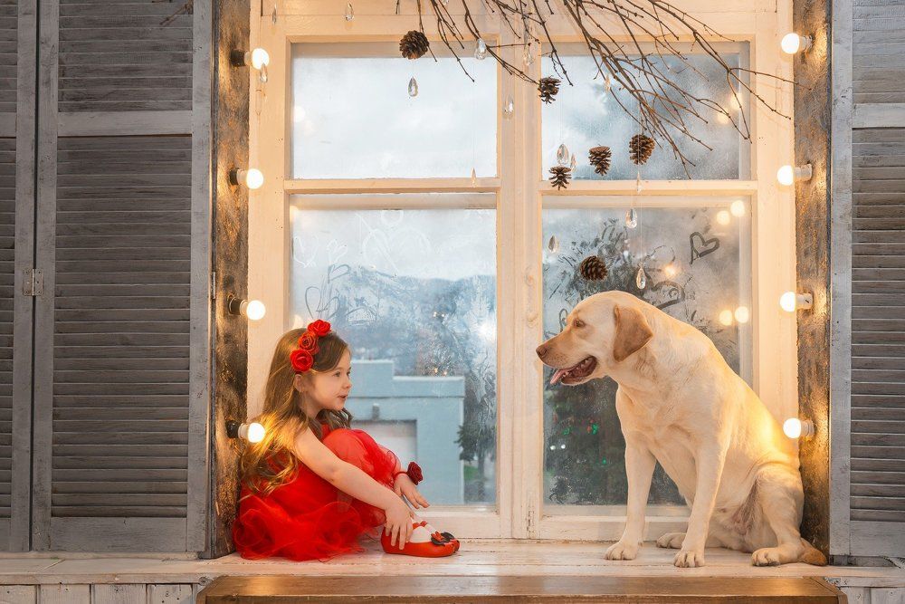 диалог с собакой