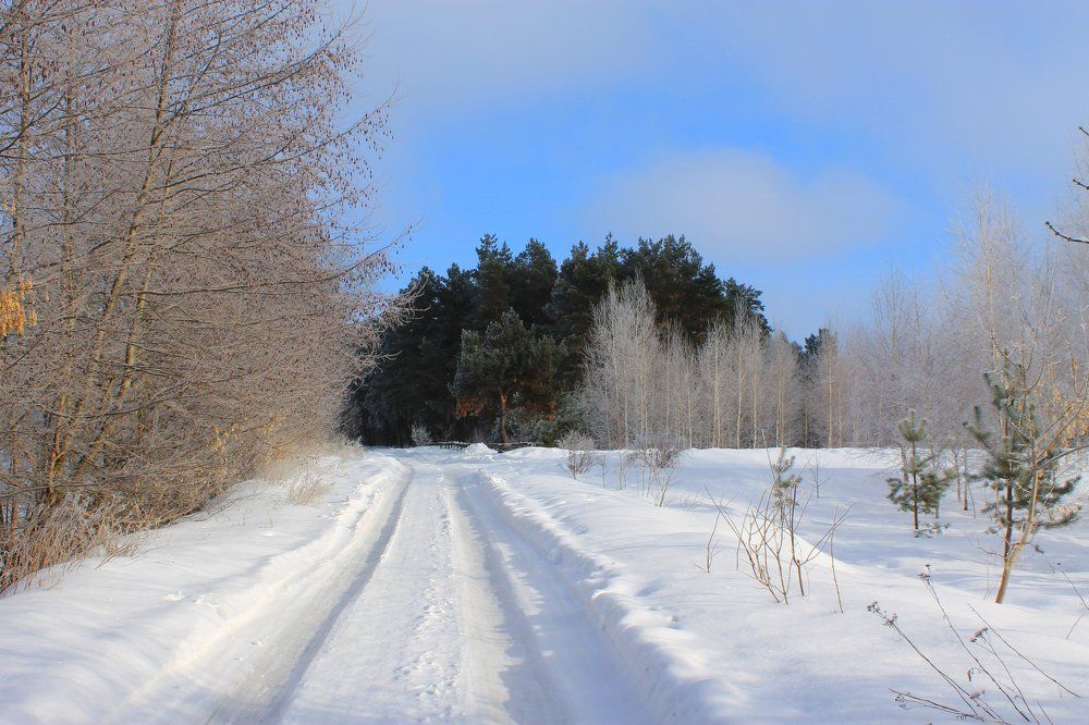 Дорога домой