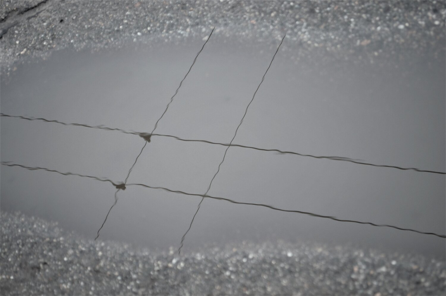 Trolleybus wires in a puddle