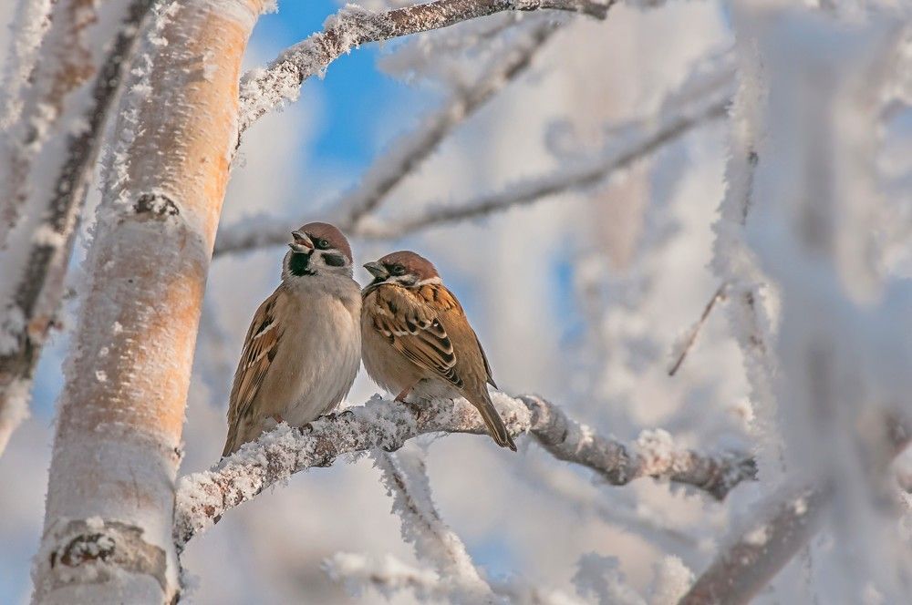 в гостях у ,,сказки,,