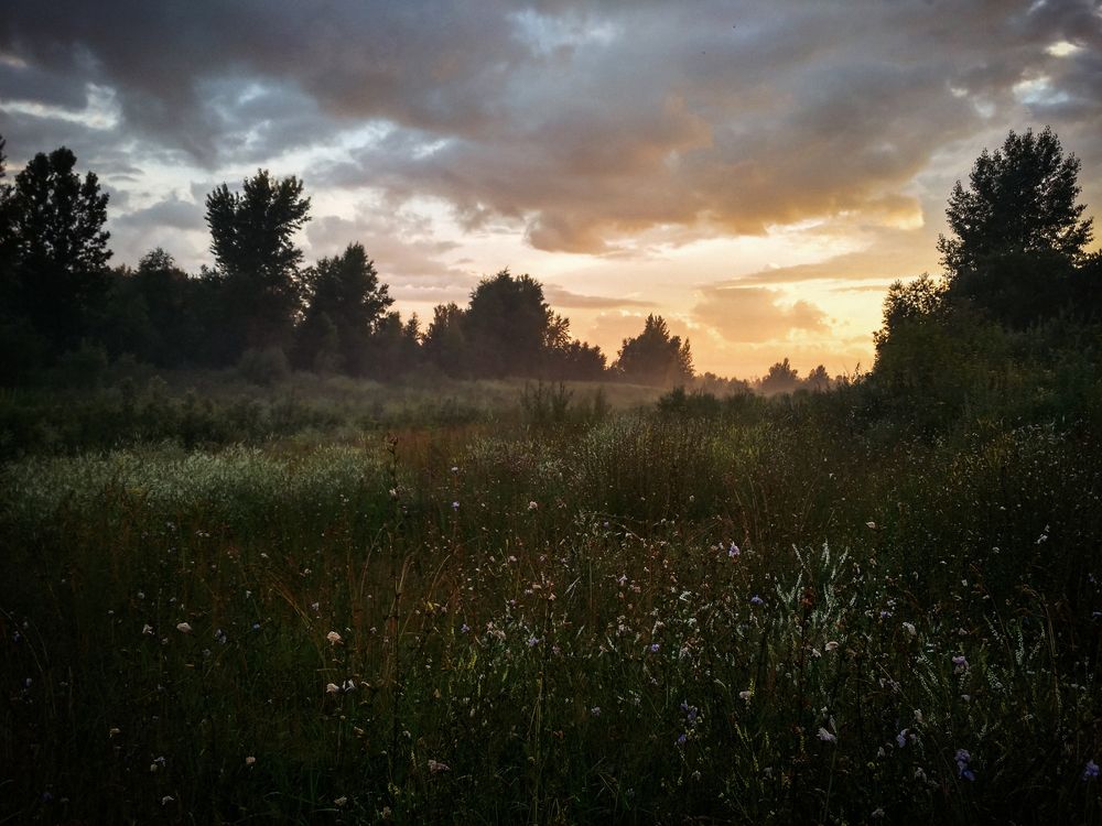 Photograph by Никита Татауров