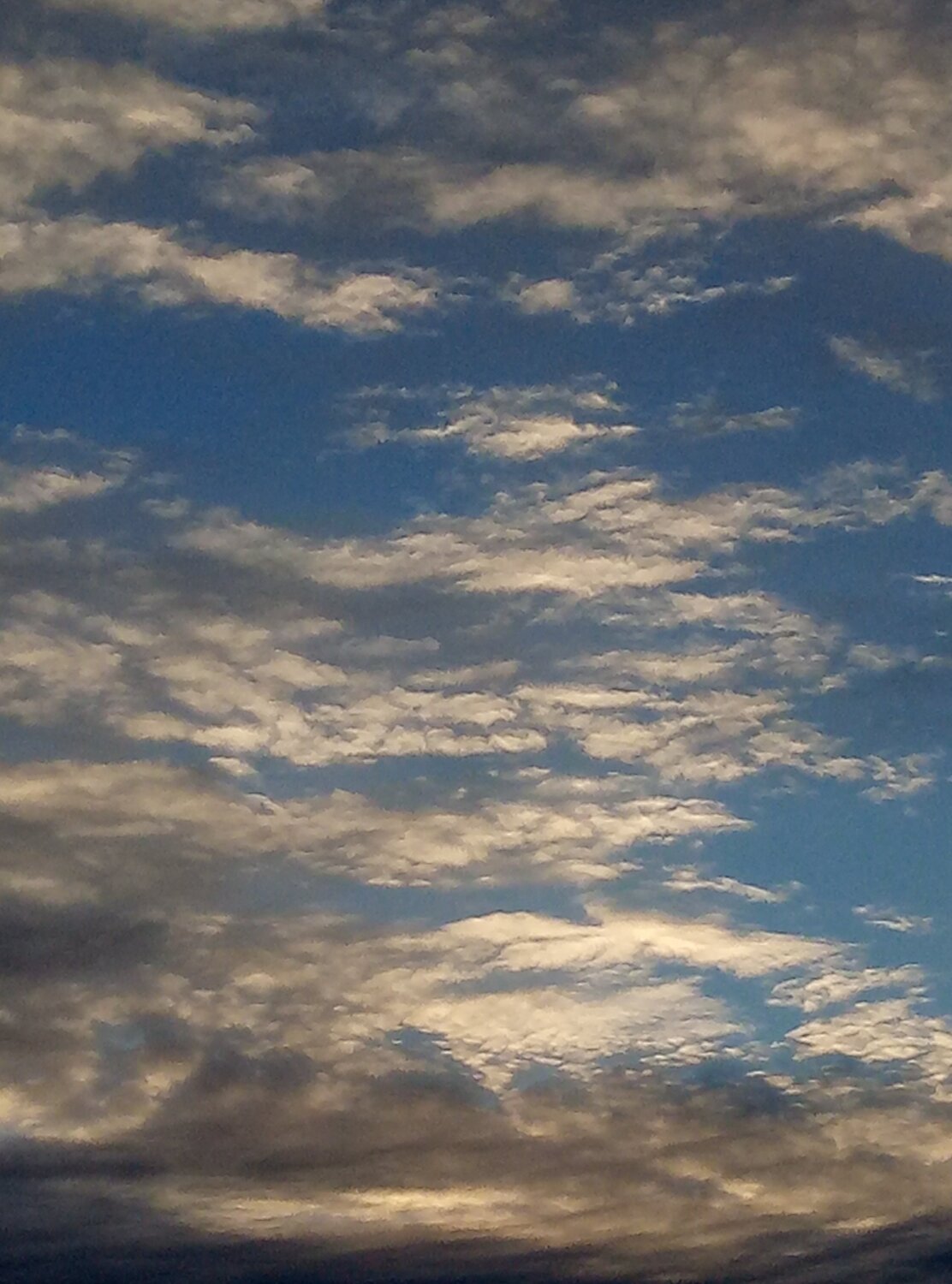 Photo #2115592