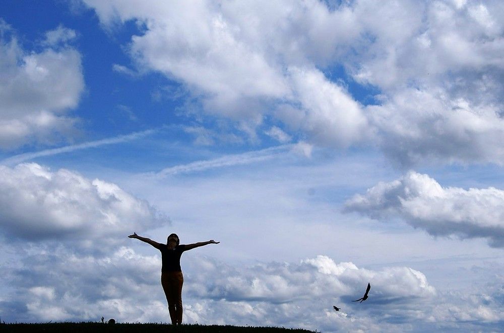 ...отчего люди не летают так, как птицы?