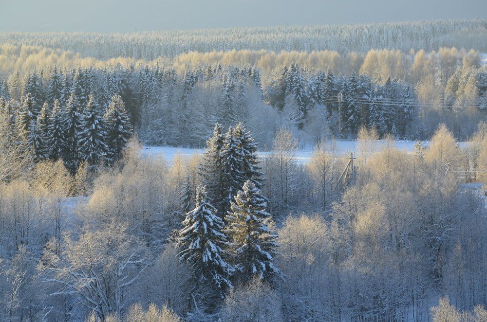 Морозная даль