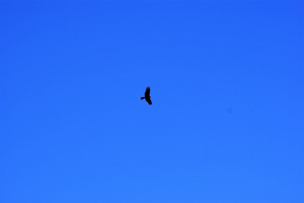 Контролирует территорию