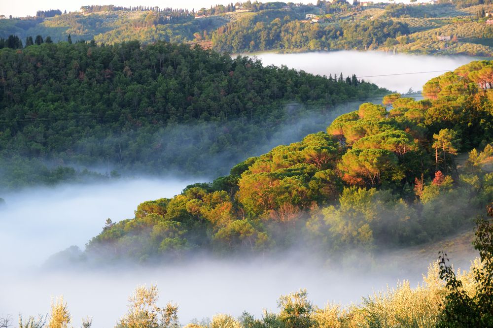 Фотография автора Андрей Симонов