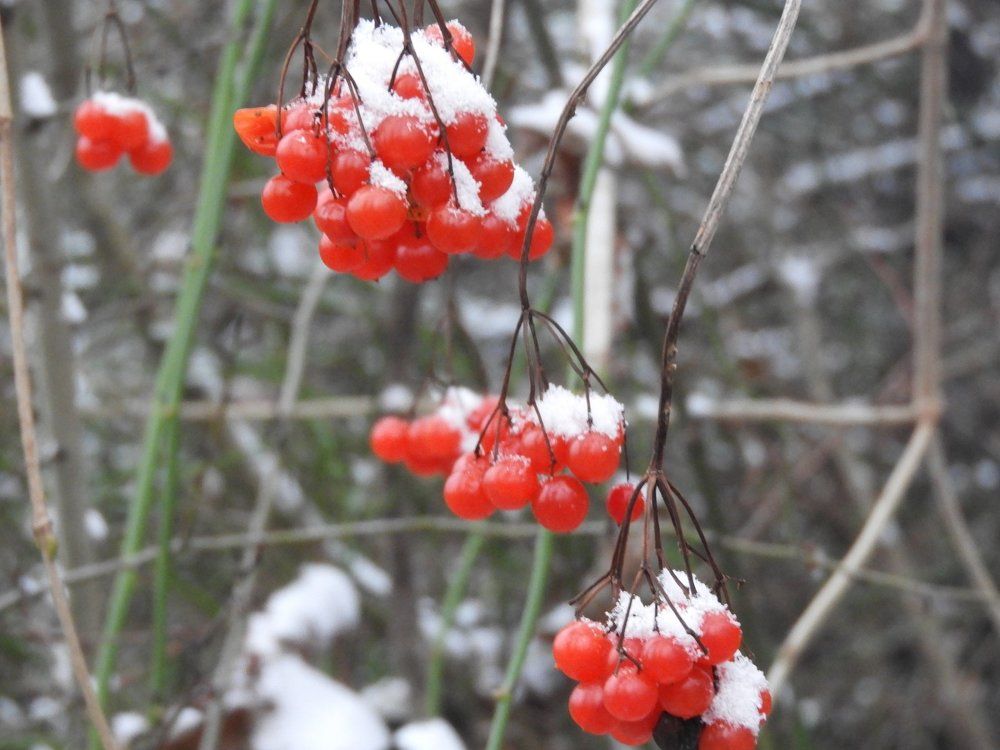 Фотография автора Vitalii Neborak