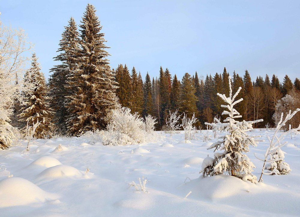 Морозное утро.