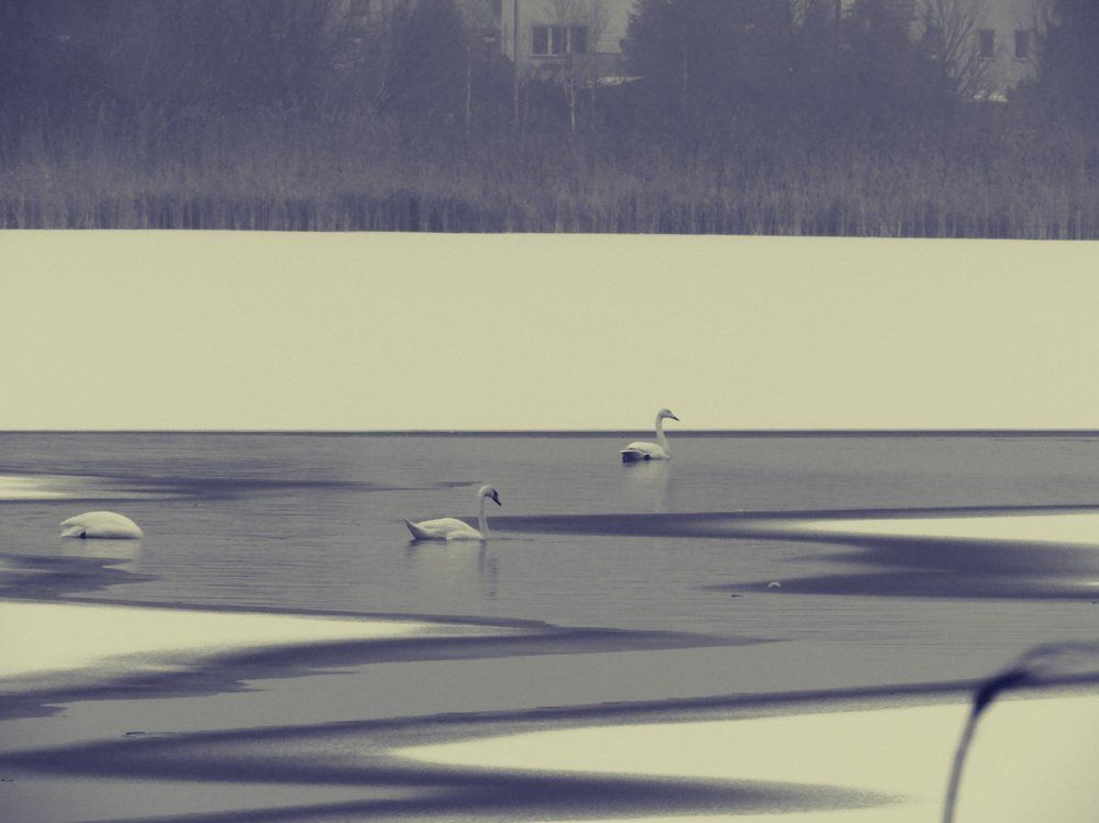 Фотография автора Vitalii Neborak