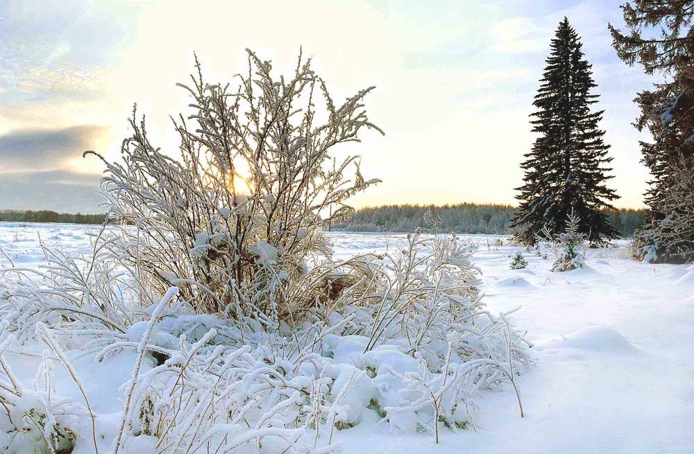 За околицей.