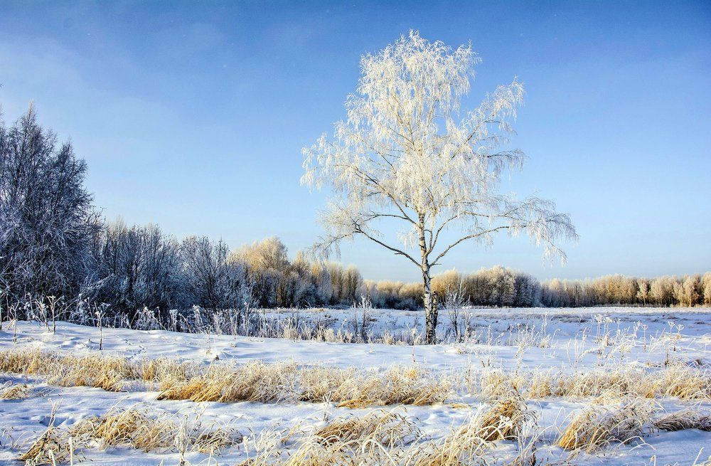 Во поле берёзонька стояла...