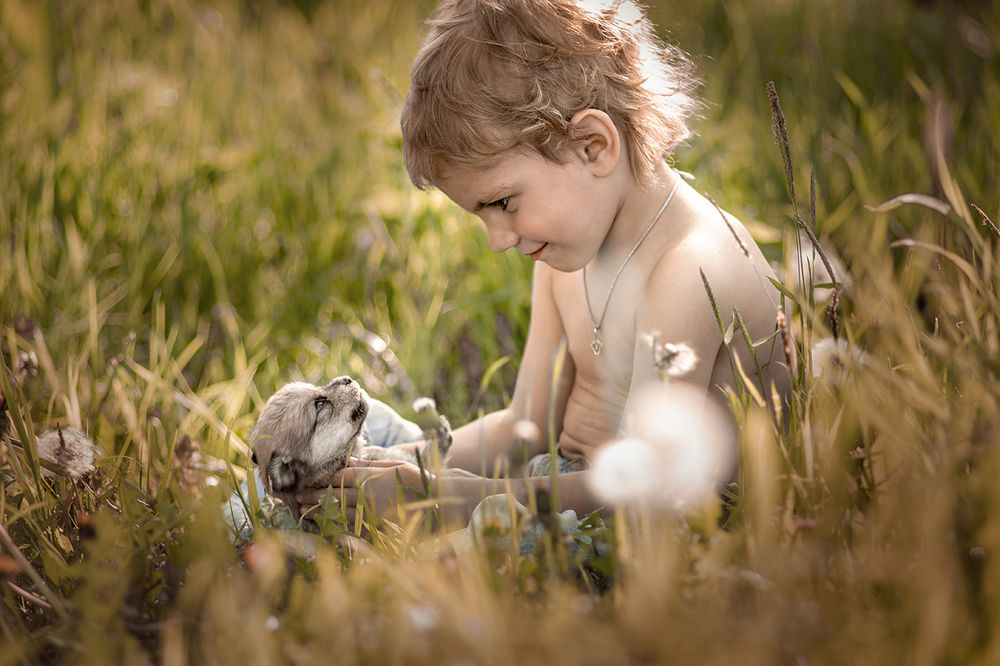 Лапа моя, лапа...