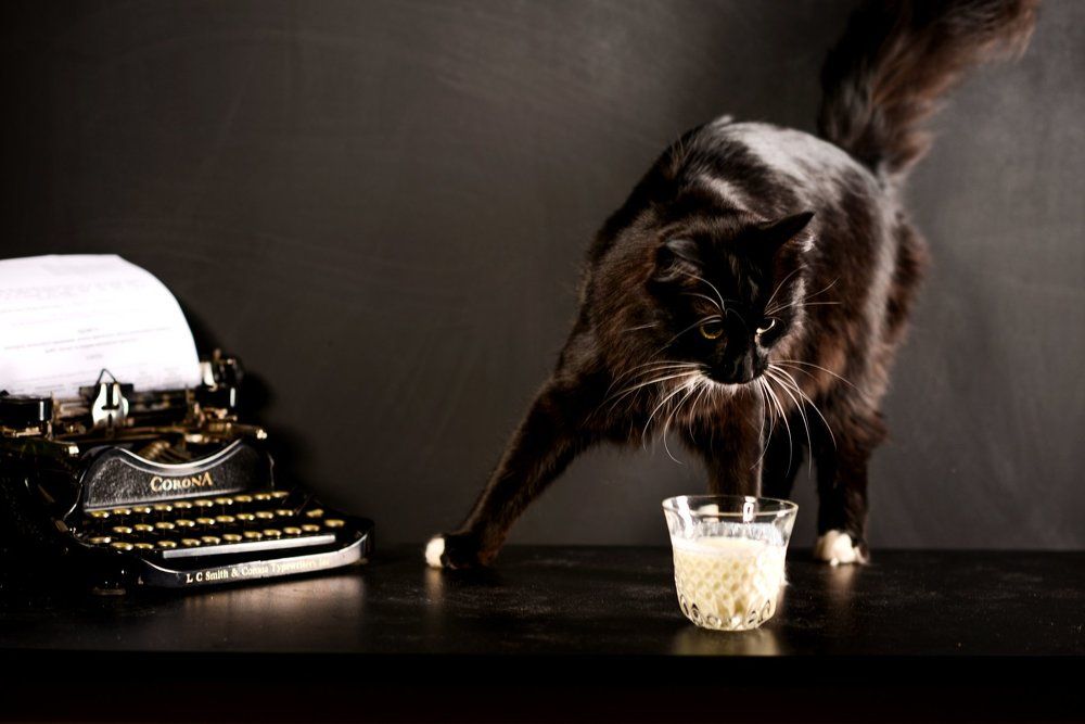 "И днем, и ночью кот ученый всё ходит по цепи кругом..."