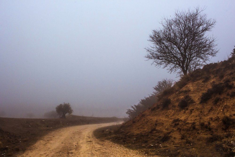 No tengas miedo a caminar solo