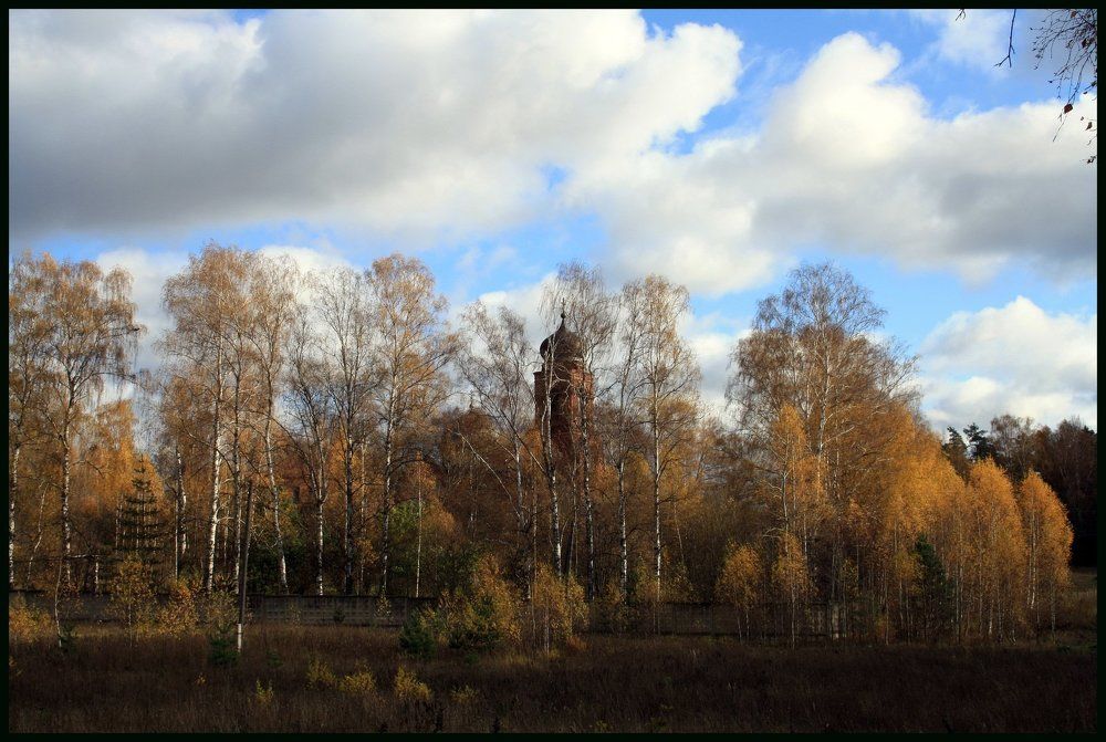 церковь в лесу