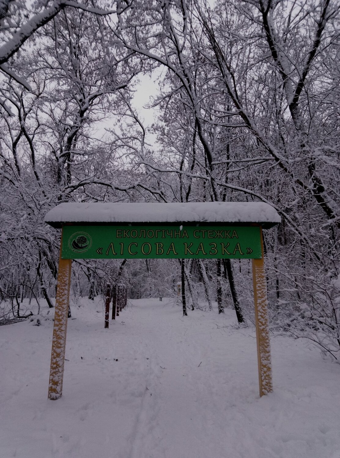 Зимняя сказка