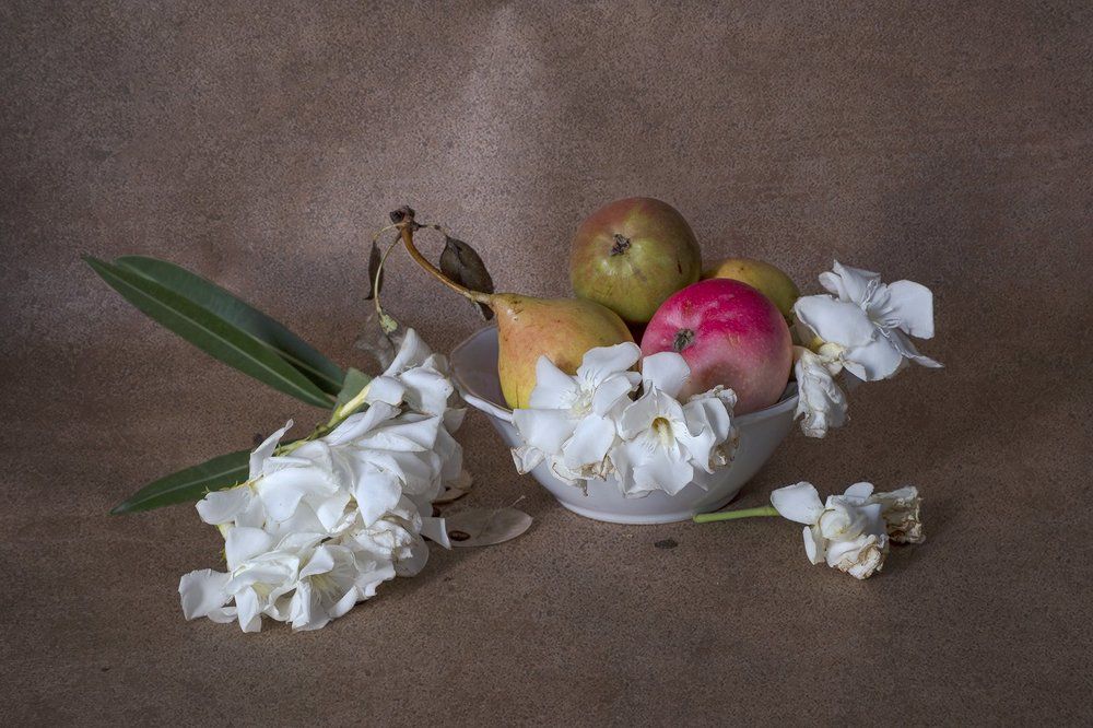 Photograph by mehmet enver karanfil