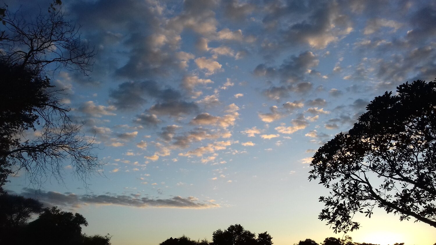 evening sky