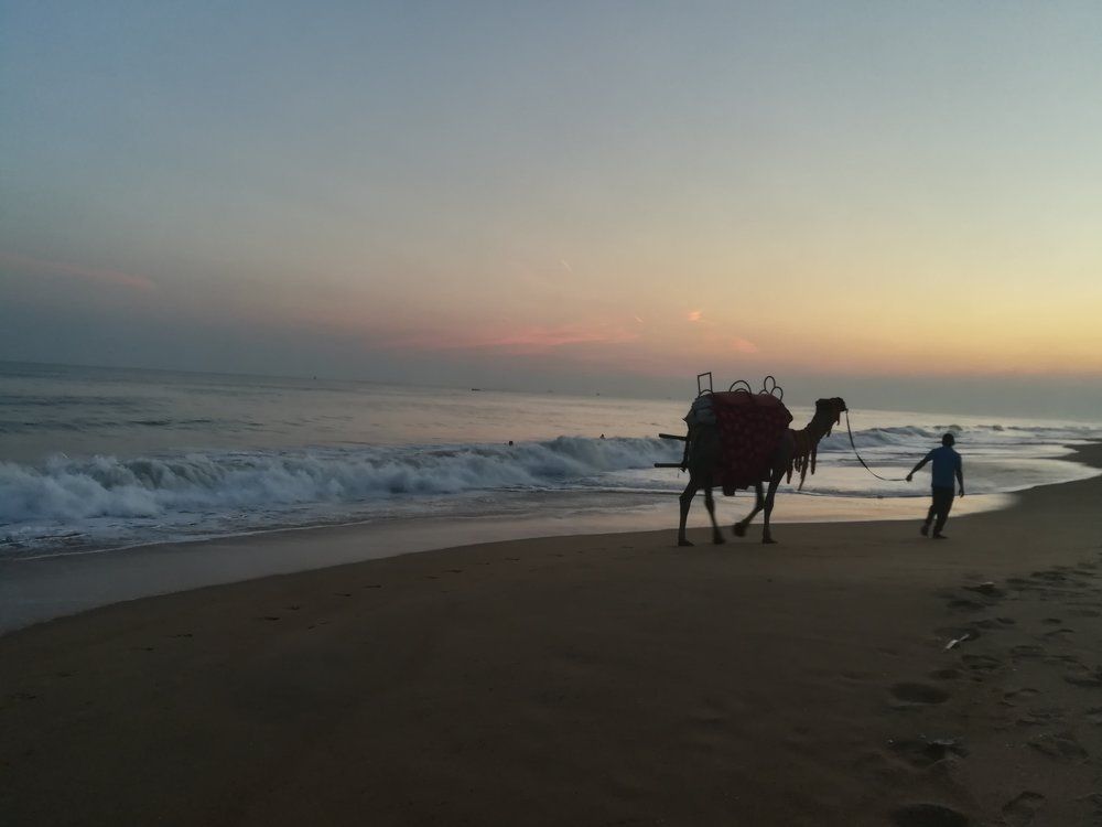Photograph by Aman Jha