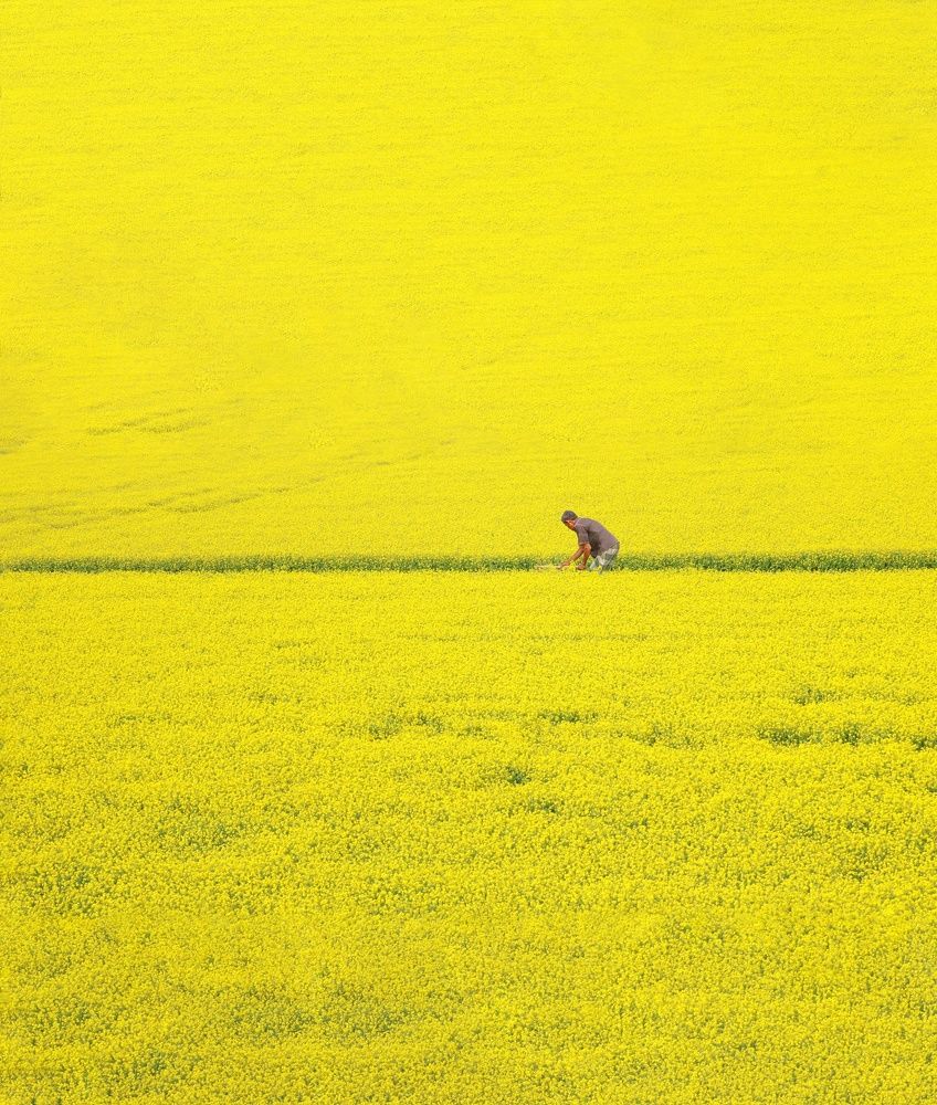 Beautiful Bangladesh