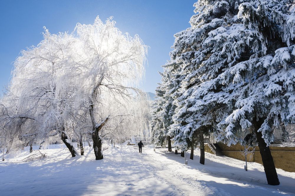 Зимнее утро в центральном городском парке города Железноводска (Кавказ)
