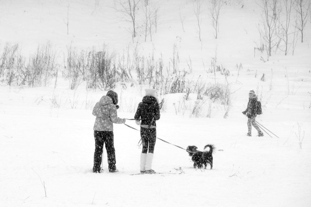 Photograph by Kirill Koshed