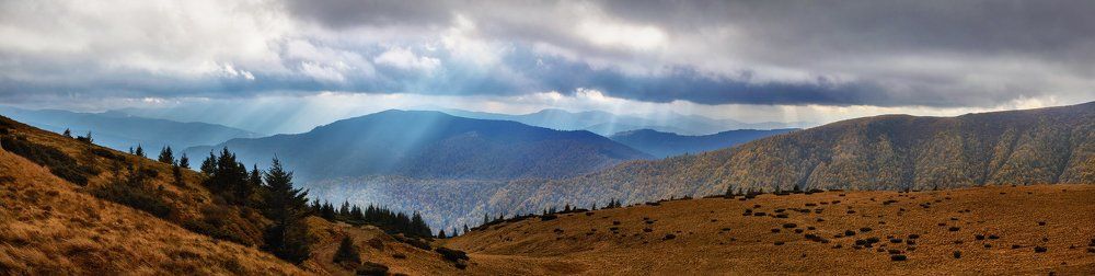 Фотография автора Александр Майоров