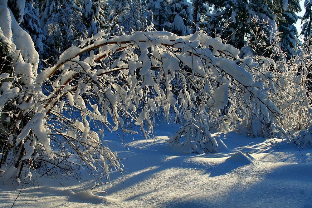 Запорошило