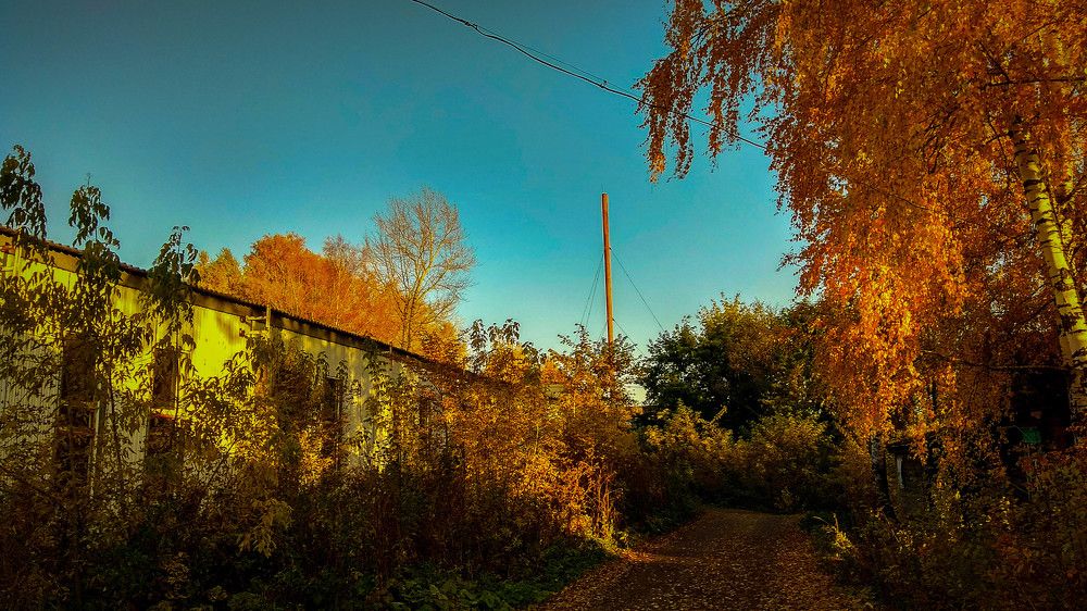 Золотой закат