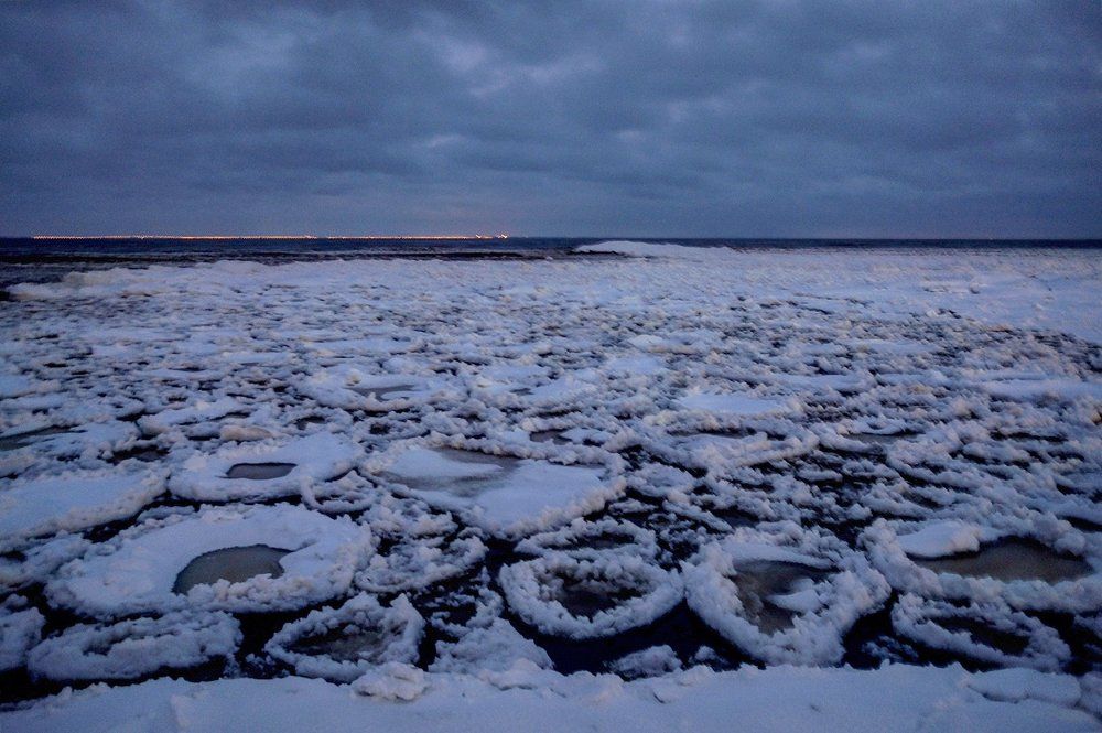 Кувшинки