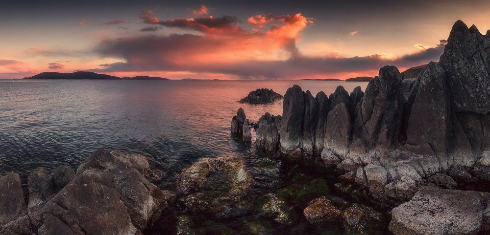 Годзилла на прогулке.