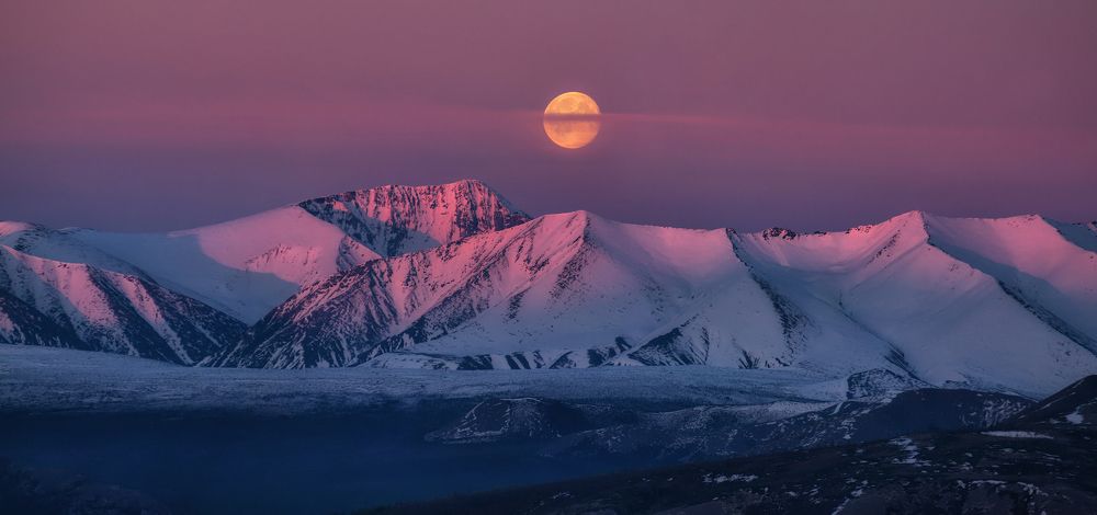 Королевство полной луны.