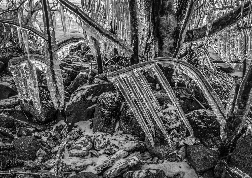 В гостях у Снежной королевы